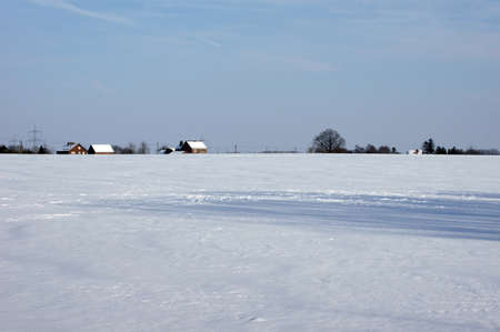  snowy scenery in January                 の写真素材