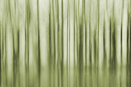 The photograph of a row of trees changed abstract during a camera movement                    