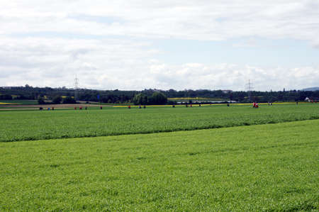 Mainz, Rhineland Palatinate / Germany - May 11, 2013: Fans of the soccer club 1.FC Mainz going to a football match in the co face Arena on May 11, 2013 in Mainz.                のeditorial素材