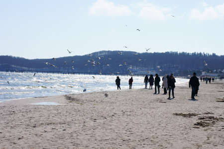 Binz, Mecklenburg Western Pomerania / Germany  April 02: People walk along the beach of the seaside resort Binz and feeding gulls on April 02, 2013 in Binz. Binz is a famous seaside resort at the Baltic sea in Germany since 1885.                 のeditorial素材