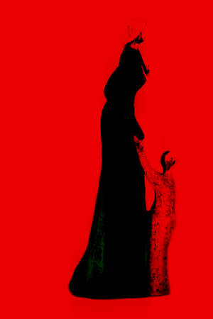 The graphical representation of a mother with child               の写真素材