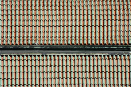 The photograph of a pigeon on a tiled roof           の写真素材