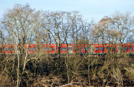 The movement of a passing regional train behind a row of trees            