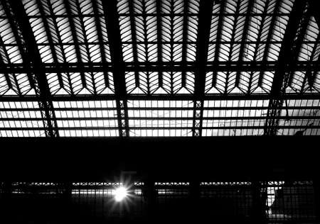 The photograph of a roof structure, which is composed of a steel frame and glass                の写真素材