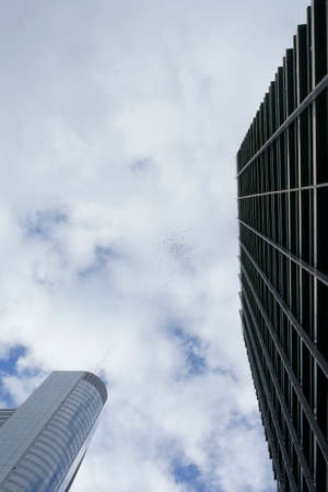 The worms eye view of two skyscrapers  In the sky flying migratory birds                     の写真素材