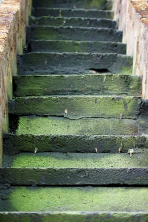 The Photography of steps, which are covered with algae and moss                      の写真素材