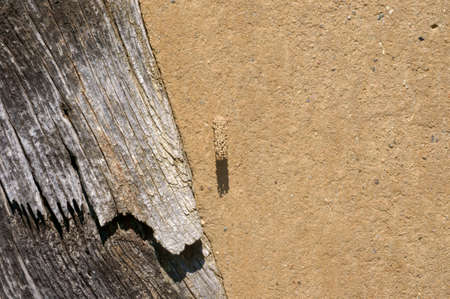 The closeup photograph of a half-timbered house made of mud