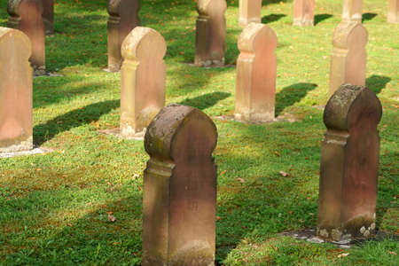 The gravestones of a mass grave in the fall and sunshine for the victims of the war.
