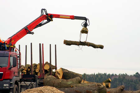 A truck with a crane arm will load logs.の写真素材