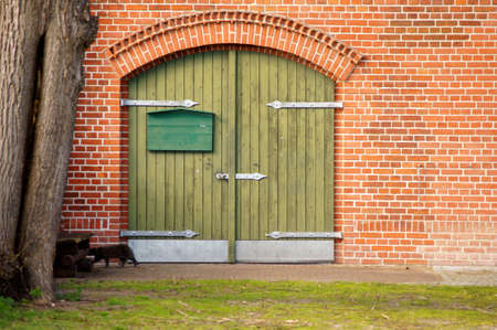 A black cat goes on an old barn with a green barn.の写真素材