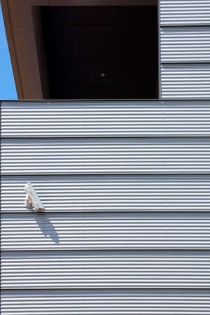 A modern house facade with an installed surveillance camera.の写真素材