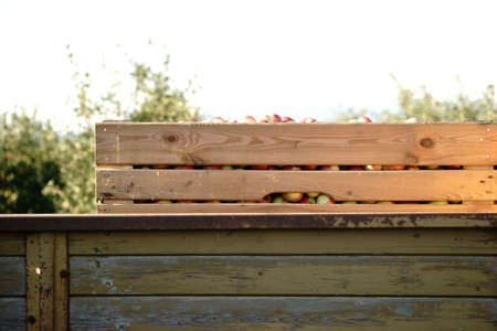 The side view of a box of freshly picked apples on a trailer.の写真素材