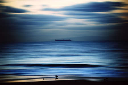 The smooth-drawn water of the Pacific with a ship on the horizon and water birds on the beach.