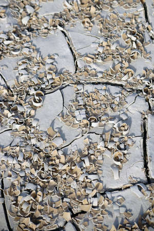 The plan view and close-up on a parched and cracked soil with shells and shrapnel.