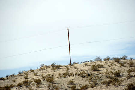 An electric pole stands in the middle of a barren desert landscape on a hillの写真素材