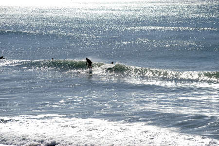 The silhouettes of surfers on the water against the light.