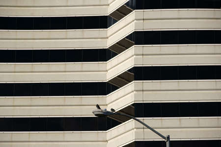 City pigeons sitting on a bent street lamp in front of a geometric abstract facade.