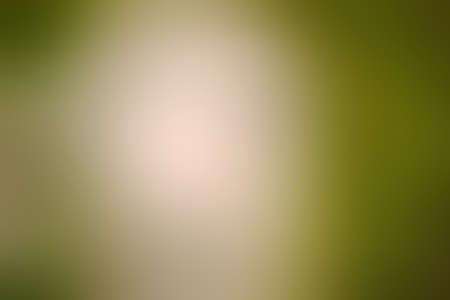 The blurred close-up of a green surface usable as a background.の写真素材