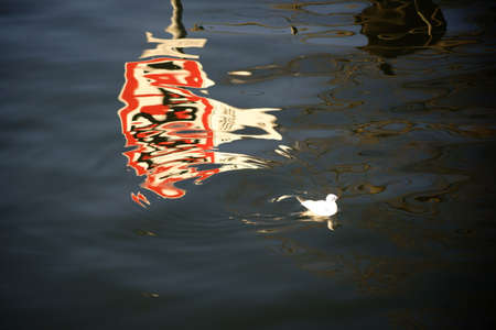 The distorted reflection of a traffic sign on the water surface with one gull.の写真素材