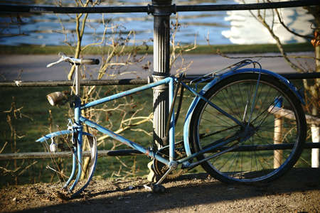 An old bicycle frame is chained and forgotten by a fence.