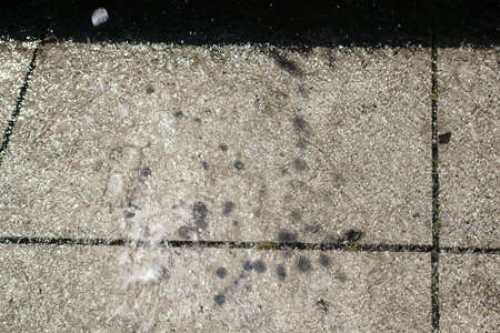 The water of a well bouncing on the ground.の写真素材