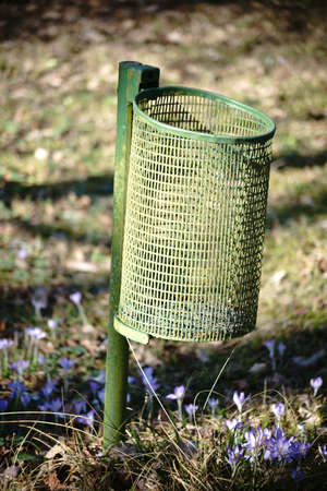 The close-up of a trash can in front of the flowers of crocuses on the meadow.                            の写真素材