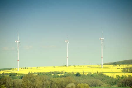 The Photography of wind turbines on a blooming rape field.の写真素材