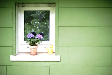 A flower pot and a yellow watering can stand at a window.                        