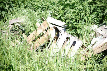 Decayed wooden boxes with wood waste as well as plant waste is overgrown in a wild meadow.の写真素材