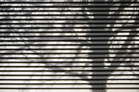 A tree casts shadows of branches and twigs on a bright corrugated iron facade.                           の写真素材