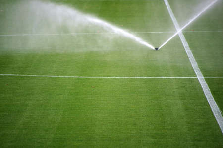The green lawn surface of a soccer field with a irrigation system.の写真素材