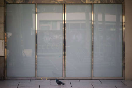 A modern sliding glass door of a shopping mall with shiny metal frame.