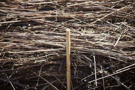 To a delimitation stacked straws held by a tree bus tube.