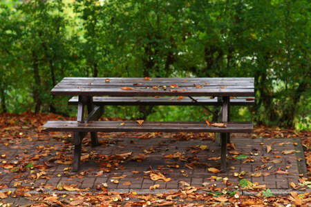 A picnic table made of wood at a park in autumn.