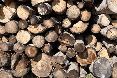Stacked chopped fire wood texture backgroundの写真素材