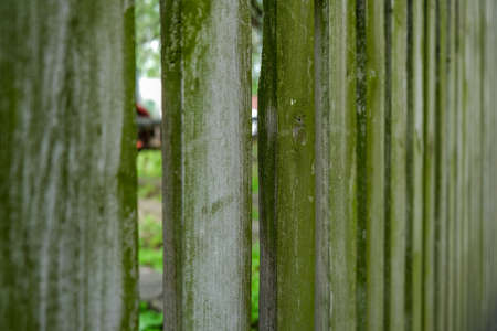 Background of wooden planks fenceの写真素材