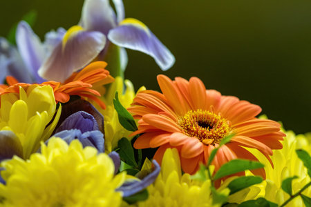 Beautiful spring flowersの写真素材