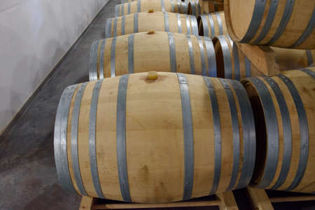 Chateau Magnol, FRANCE. Casks of wine.のeditorial素材