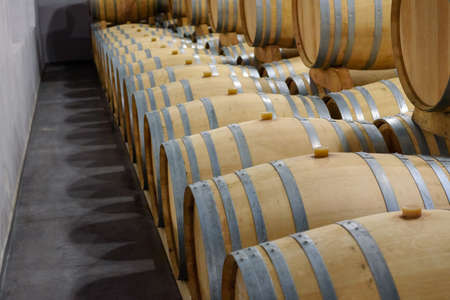 Chateau Magnol, FRANCE. Casks of wine.のeditorial素材