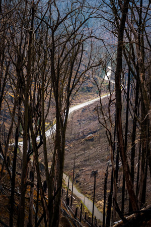 HRENSKO, CZECH REPUBLIC. 30th March 2025.  Pravciska Brana valley with burned trees on mountains....