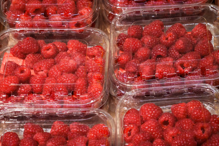 Fresh red raspberries in plastic punnets. A close up view of ripe, vibrant raspberries packed in...