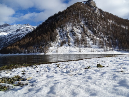alpine lake in the fallの写真素材