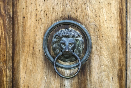 Door knocker in the shape of a lion on old wood door