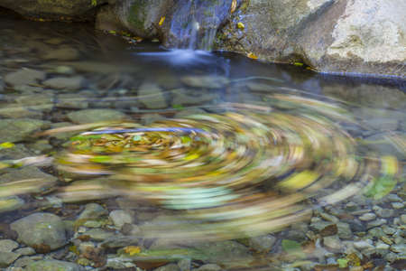 Only a long exposure time can determine the path that the fallen leaves do in their slow walk in the mountain streamsの写真素材