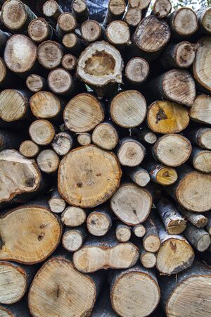 Stack of wooden logs