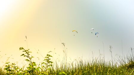Paragliding sails seen through grass ropesの写真素材