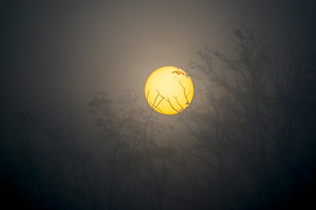 The yellow disk of the sun peaks in the misty morning mist
