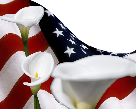 copy space with usa flag and calla lilyum flowers, for graphical conceptの写真素材