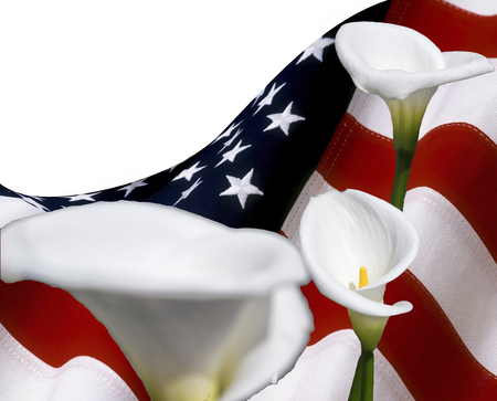 copy space with usa flag and calla lilyum flowers, for graphical conceptの写真素材