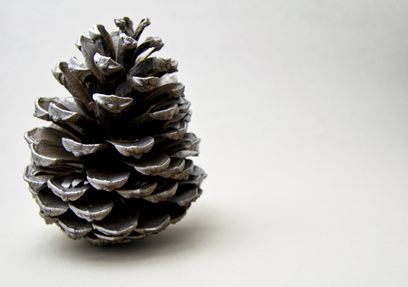 isolated silver pine cone on a white background. for Christmas and seasonal greeting card conceptsの写真素材